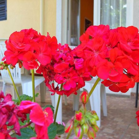 Apartment Girasole Rovinj Exterior foto